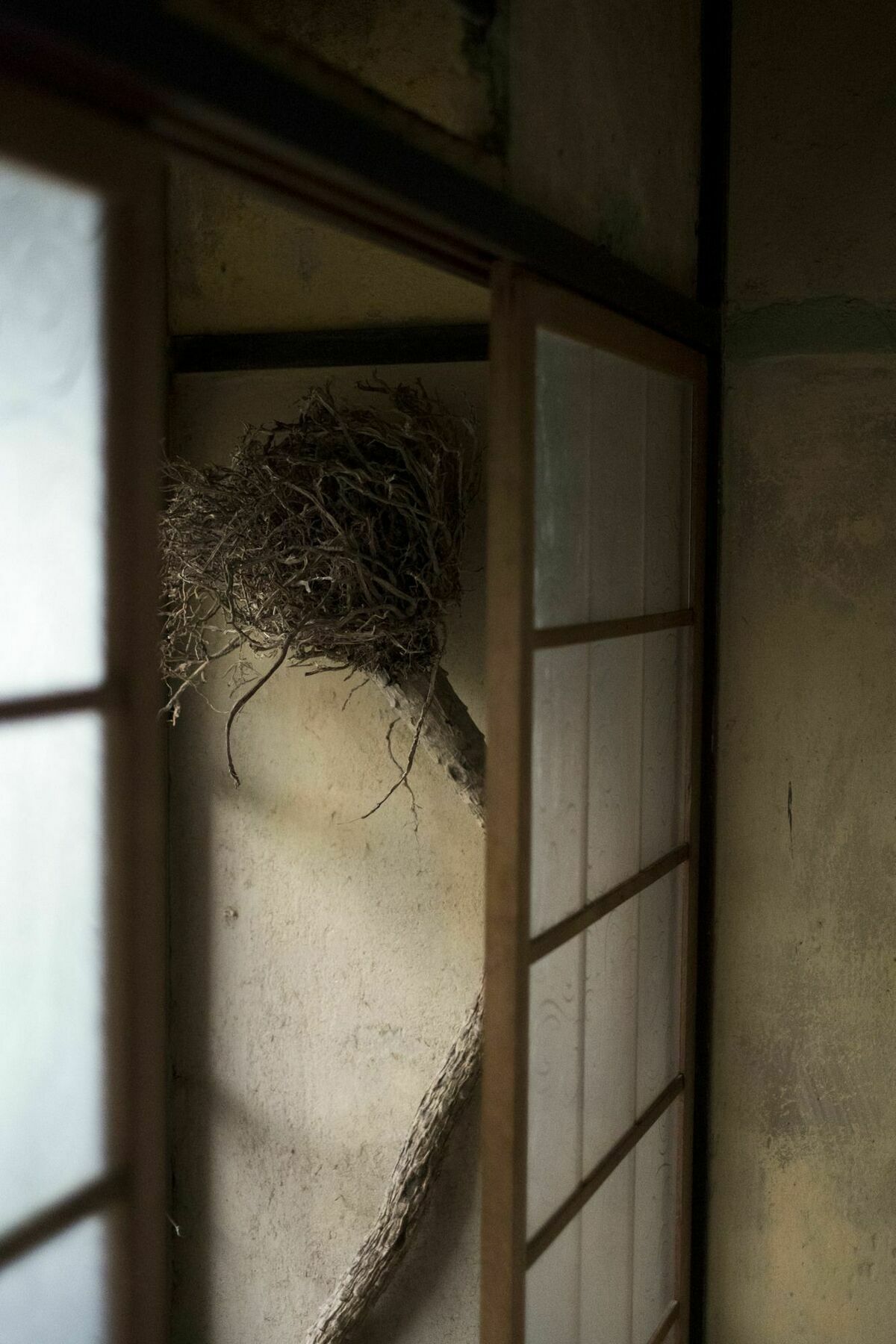 A Day In Khaki Villa Kyoto Ngoại thất bức ảnh